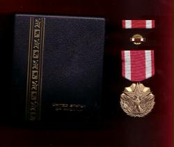 US Meritorious Service medal in case with ribbon bar and lapel pin MSM