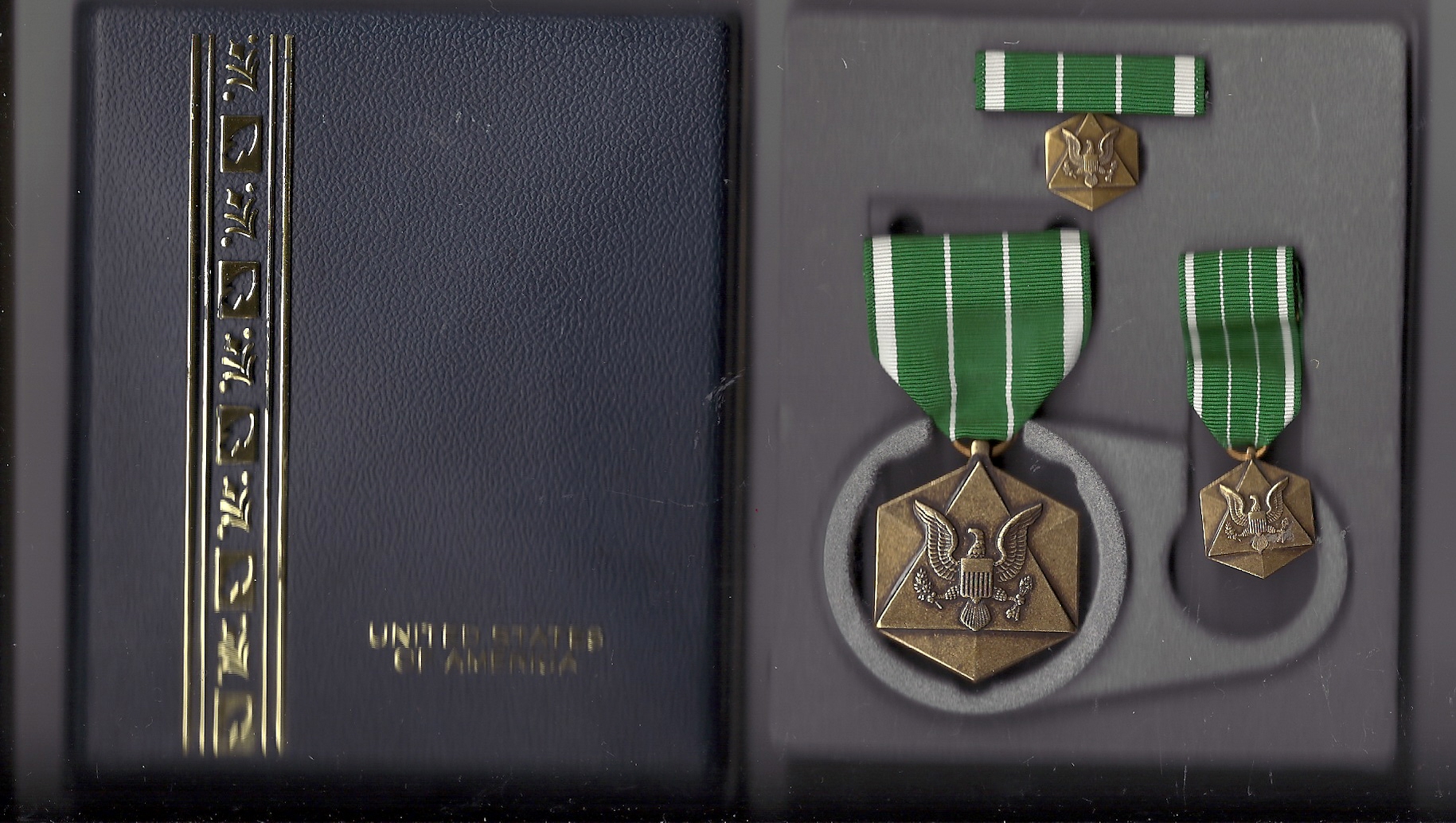 ピンバッジ Civilian Award medal for Humanitarian Service cased set with lapel pi 