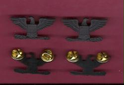 Pair of Colonel Eagles Rank Insignia in combat black subdued