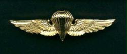 Navy or Marine Parachutist Wing