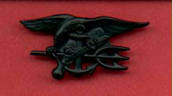 Navy Seal Badge in Subdued Combat Black