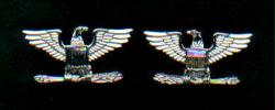 Pair of Colonel Eagles Rank Insignia