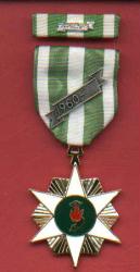 Vietnam Campaign Award medal with ribbon bar with 60 device